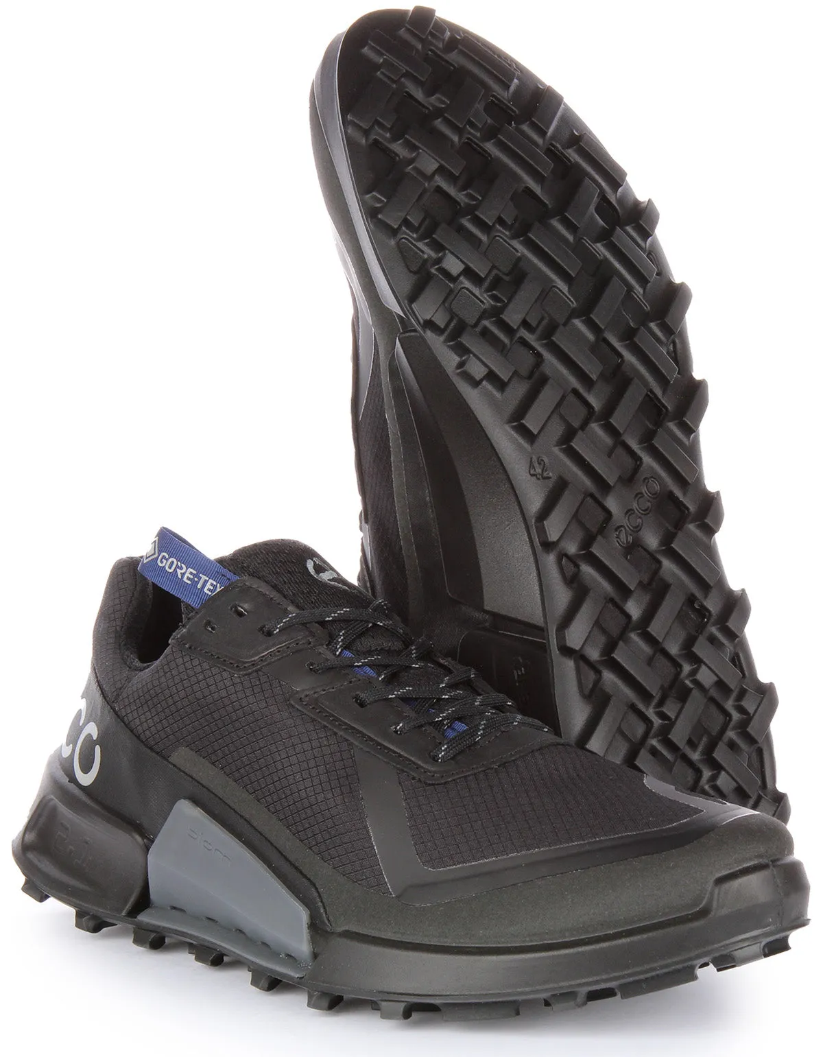 Ecco Biom 2.1Xcntry Gortex In Black Black For Men