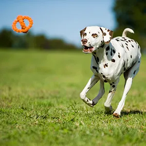 Major Dog Octopus Retrieval Ball Fetch Toy