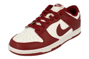 Nike Dunk Low Retro Mens Trainers DD1391 601