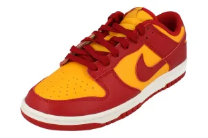 Nike Dunk Low Retro Mens Trainers Dd1391 701