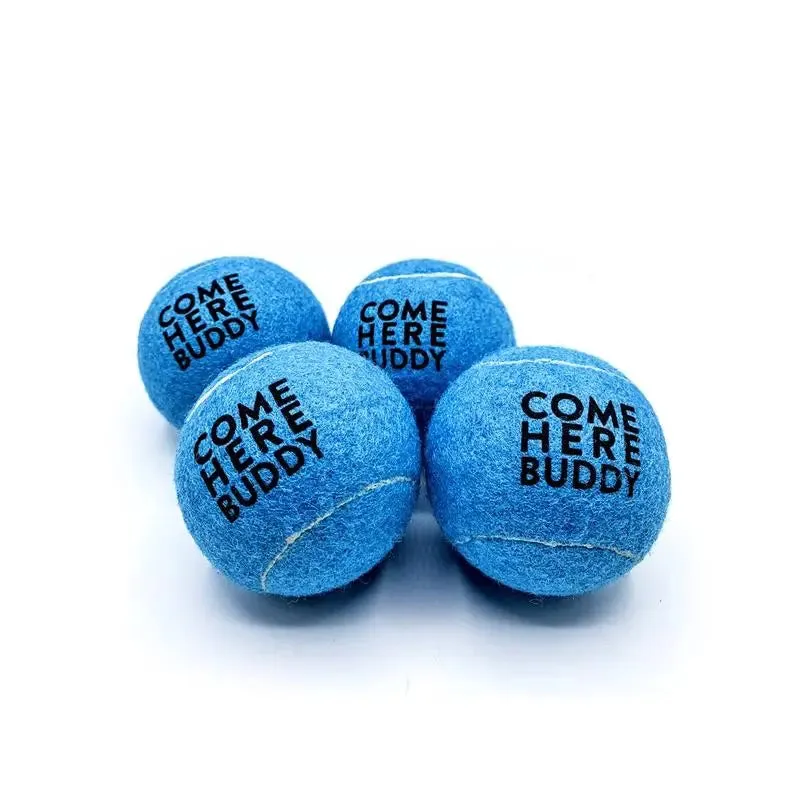 Set of 4 Come Here Buddy Tennis Balls in Sky Blue