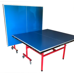 TTW Exterior Table Tennis Table